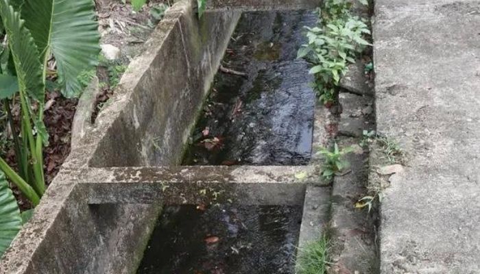 Authorities warn of legal action over discharge of wastewater into rainwater drains