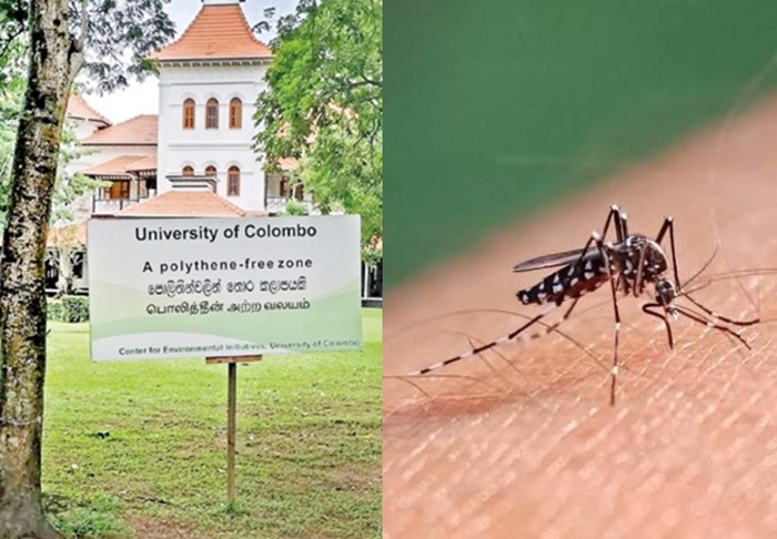 University of Colombo shifts lectures online amid dengue cases