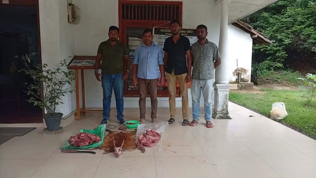Two suspects arrested while allegedly butchering protected deer