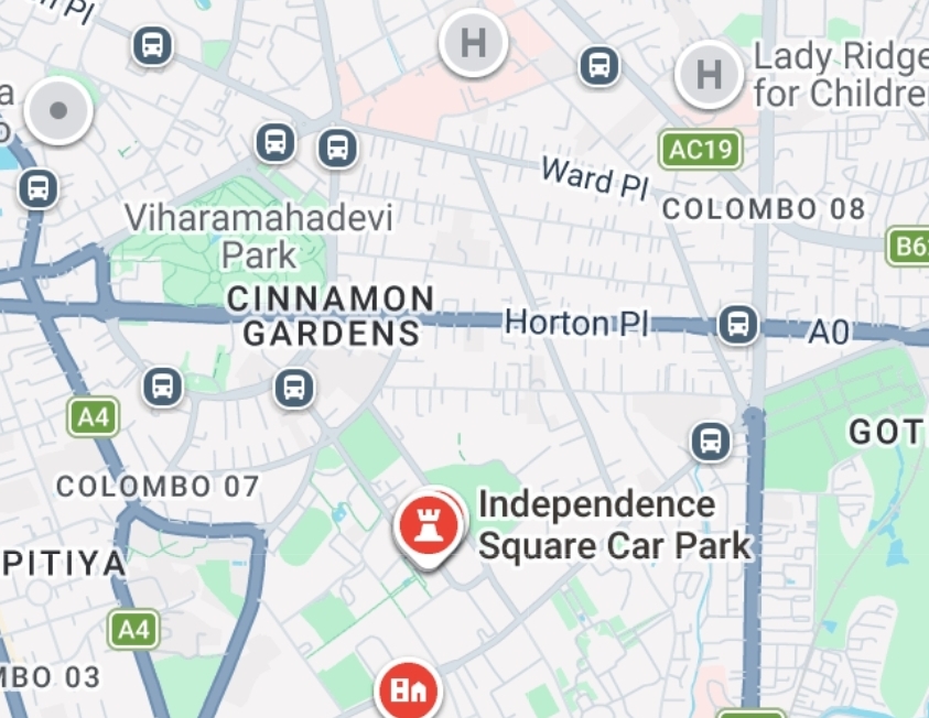Young Driver Arrested Over Reckless Driving Near Independence Square