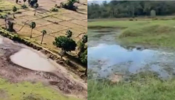 Dry weather leaves several areas in Sri Lanka facing water shortages