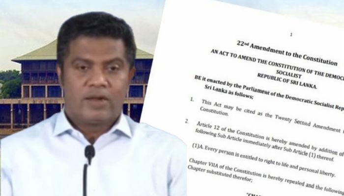 22nd Amendment: Govt ready for referendum if required, minister says