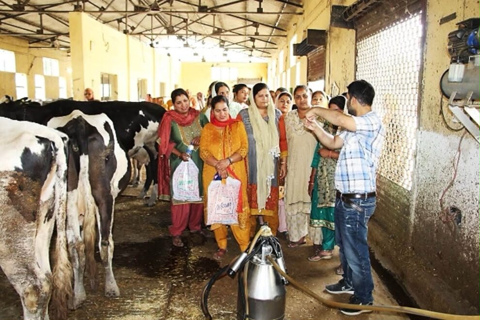 Sri Lankan dairy farmers to receive specialised training in India