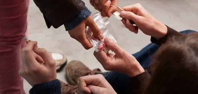 University students increasingly vulnerable to drug addiction, professor says