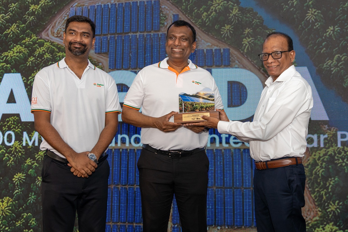 Hayleys Solar Commissions 3MW Veyangoda Ground-Mounted Solar Project
