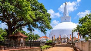 President appoints advisory council to oversee Anuradhapura Sacred City development