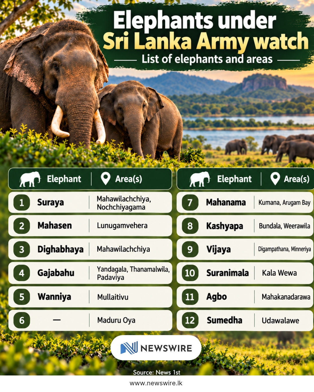 Sri Lanka to deploy military units to protect endangered wild elephants