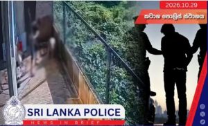 Two arrested over dog beaten to death at Katana pet boarding facility