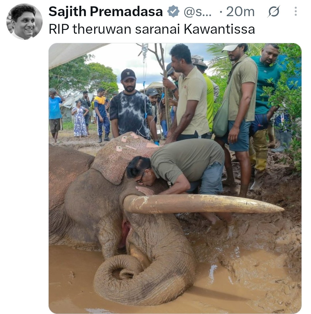 Ailing tusker Kavantissa has died, says Opposition Leader Sajith Premadasa