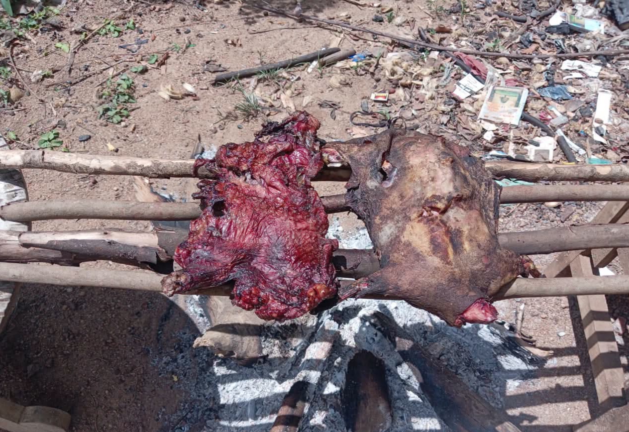 Wildlife officers arrest four suspects with porcupine meat, illegal firearms