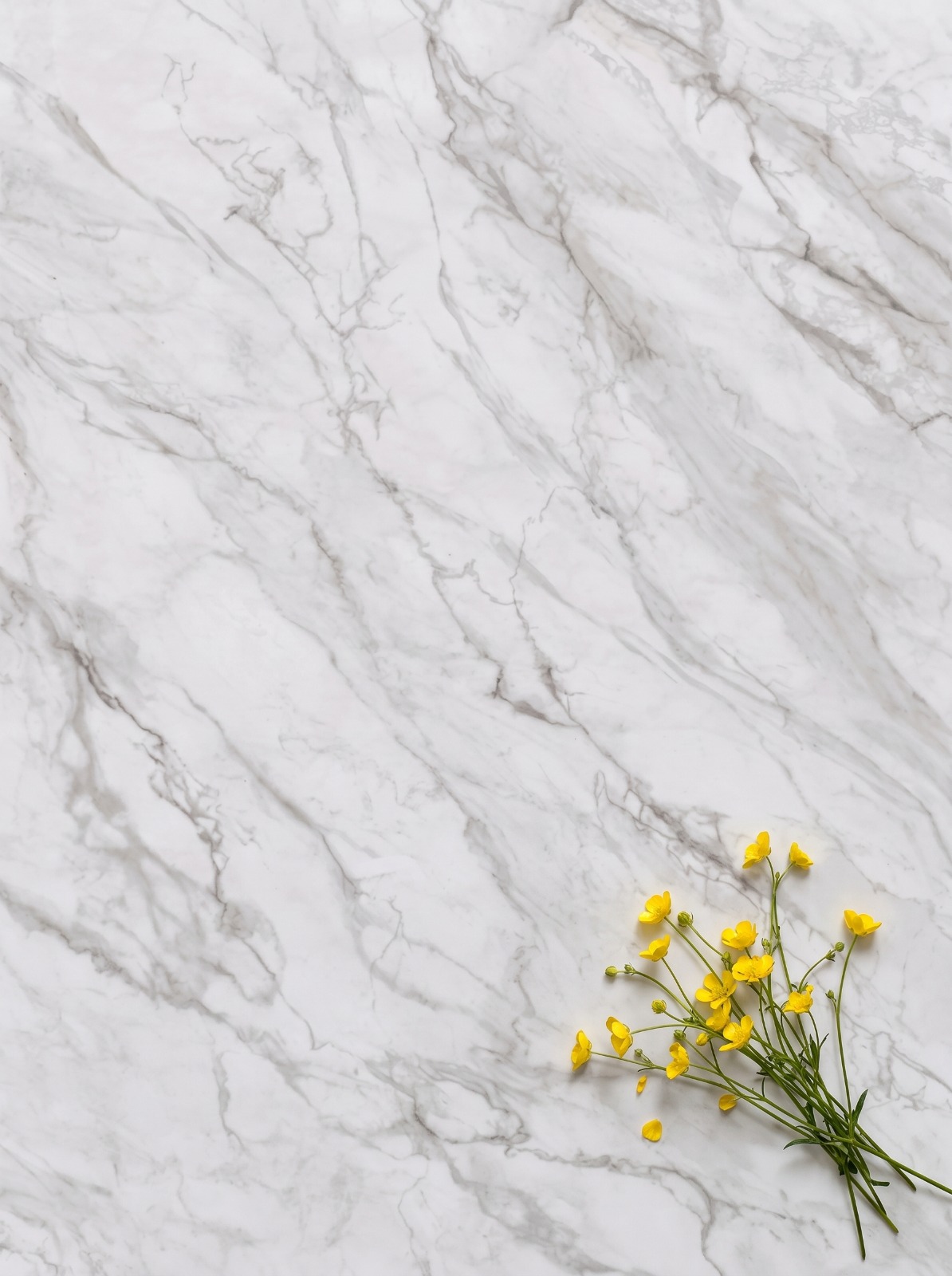Rocell Starlight®, Setting a New Standard in Polished Ceramics